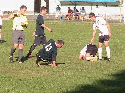 gorchichnik_ot_arbitra-9410606
