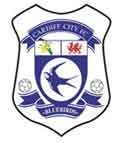 cardiff-4792536